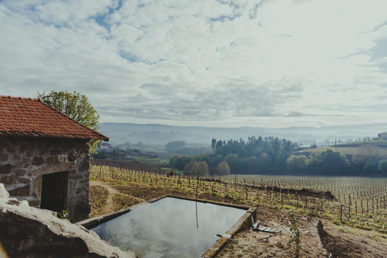 The Farmhouse I - Uma Quinta Deslumbrante Villa Felgueiras Dış mekan fotoğraf